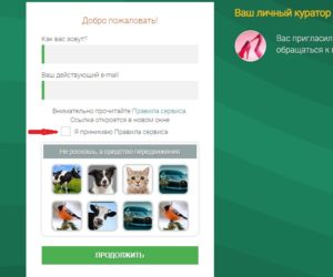 форма регистрации на seosprint  форма регистрации на seosprint net